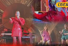 Udaipur Music Festival: उदयपुर में वर्ल्ड म्यूजिक फेस्टिवल का रंगारंग आगाज, कलाकारों ने बांधा समा, लोकल और विदेशी संगीत का संगम