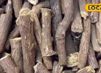 बेहद चमत्कारी है यह जड़ी-बूटी, अल्सर, पेट दर्द और एक्जिमा को कर देगा छूमंतर, एक्सपर्ट से जानें सेवन का तरीका