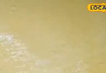 स्वाद, परंपरा और पहचान! मुरादाबाद मंडल की इन फेमस डिशेज को विशेष दर्जा दिलाने की तैयारी