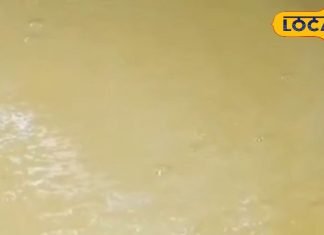 स्वाद, परंपरा और पहचान! मुरादाबाद मंडल की इन फेमस डिशेज को विशेष दर्जा दिलाने की तैयारी