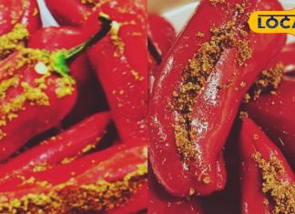 अभी ट्राई करें! सरसों तेल में बना यह अचार खाने में भर देगा नया स्वाद, जानें घर पर बनाने का आसान तरीका