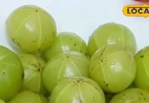 Health Tips: 1OO बीमारियों का रामबाण इलाज है इस फल का एक दाना, बस सुबह-सुबह खाएं खाली पेट