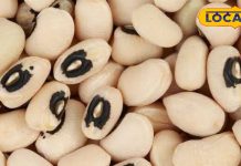 लोबिया की दाल: रायबरेली की डॉ स्मिता श्रीवास्तव से जानें इसके फायदे