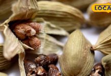 सोने से पहले रोज खाएं ये मसाला, फायदे देख कभी नहीं छोड़ेंगे आदत!