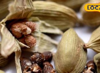 सोने से पहले रोज खाएं ये मसाला, फायदे देख कभी नहीं छोड़ेंगे आदत!