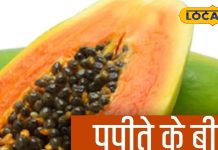 इसका फल ही नहीं बीज भी सुपरफूड, स्वाद में लाजवाब, सेहत रखे फिट