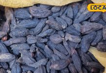 दूध में मिला लें ये चीज, दिल रहेगा तंदुरुस्त, आंखों से दूर रहेगा हर तरह का रोग