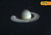 Vrshchik Rashifal: भूमि पूजन और वाहन खरीदने के बन रहे योग, शत्रुओं को परास्त करने के लिए करें ये उपाय