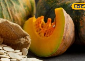 सुबह खाली पेट खाएं इस सब्जी के बीज, वेट होगा कम, स्किन करेगी ग्लो! हड्डियों में आएगी फौलाद सी मजबूती