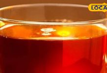 рдЙрддреНрддрд░рд╛рдЦрдВрдб рдХрд╛ рдпреЗ рд░рд╛рдЬреНрдп рд╡реГрдХреНрд╖ рдЖрдкрдХреЛ рдмрдирд╛ рджреЗрдЧрд╛ рддрд░реЛрддрд╛рдЬрд╛, рди рд╣реЛрдЧреА рдердХрд╛рди, рджрд┐рд▓ рд░рд╣реЗрдЧрд╛ рд╣реЗрд▓реНрджреА