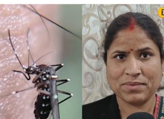 फरवरी में जहरीले मच्छरों ने कर दिया नाक में दम? अपनाएं ये 5 घरेलू नुस्खे… लें चैन भरी नींद