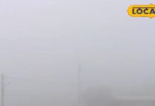 वसंत ऋतु में मौसम का बदलता मिजाज, कहीं कर न दें आपकी सेहत खराब, एक्सपर्ट से जानें कैसे करें बचाव