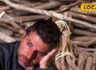 मन में तनाव और परेशान हैं… मर्दाना ताकत कैसे बढ़ाएं, अब चिंता छोड़िए… कीजिए इस जंगली लकड़ी का सेवन, होगा जादू!