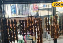 अल्मोड़ा के इस फूड पॉइंट पर हर दिन लगी रहती है भीड़! 9 तरह की चाप के स्वाद ने जीते फूड लवर्स के दिल