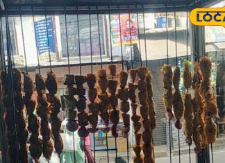 अल्मोड़ा के इस फूड पॉइंट पर हर दिन लगी रहती है भीड़! 9 तरह की चाप के स्वाद ने जीते फूड लवर्स के दिल