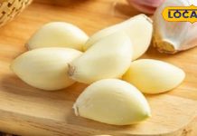 सुबह खाली पेट खा लें लहसुन की एक कली, बुढ़ापे में मिलेगा बंपर बेनिफिट