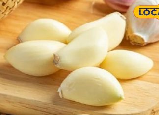 सुबह खाली पेट खा लें लहसुन की एक कली, बुढ़ापे में मिलेगा बंपर बेनिफिट