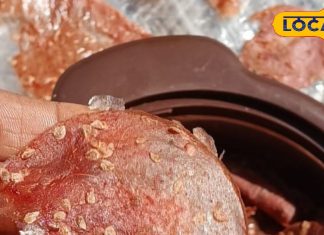 गाजीपुर की साधना यादव ने बनाया टमाटर का हेल्दी पापड़.