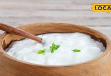 दही को कैसे खाएं? नमक डालें या चीनी, क्या कहता है साइंस, जानिए फायदे और नुकसान