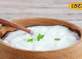 दही को कैसे खाएं? नमक डालें या चीनी, क्या कहता है साइंस, जानिए फायदे और नुकसान