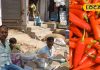 सिंपल है लाल मिर्च का चटपटा भरवा अचार बनाने का तरीका, इन 13 मसालों की पड़ेगी जरूरत, नोट कर लें प्रोसेस