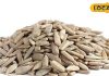 Sunflower Seeds: सेहत के लिए वरदान है सूरजमुखी के बीज, रोजाना खाने से मिलेंगे ये कमाल के फायदे