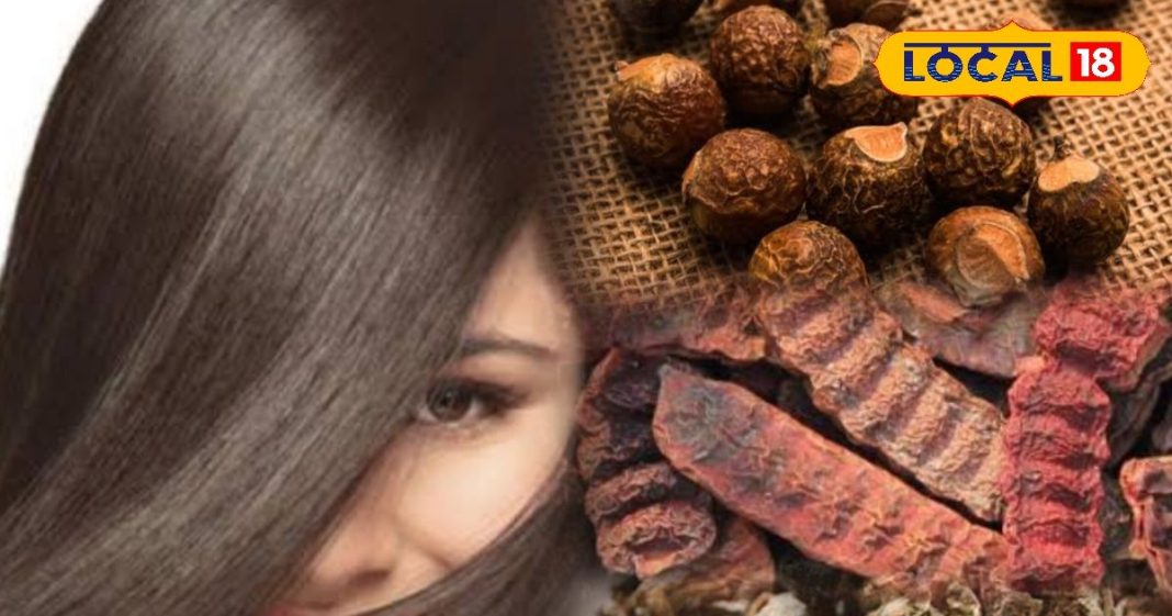 सबसे बेहतरीन नुस्खा! इन तीन चीजों के इस्तेमाल से पाएं लंबे और काले बाल, डॉक्टर से जानें आयुर्वेदिक सलाह
