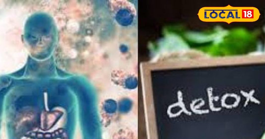 अंग्रेजी दवाइयों से नहीं प्राकृतिक तरीके से करें शरीर को डिटॉक्स, इन टिप्स को अपनाने पर कभी नहीं पड़ेंगे बीमार