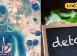 अंग्रेजी दवाइयों से नहीं प्राकृतिक तरीके से करें शरीर को डिटॉक्स, इन टिप्स को अपनाने पर कभी नहीं पड़ेंगे बीमार