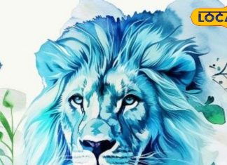 Singh Rashifal : करियर में जबरदस्त सफलता मिलने के संयोग! जानें कैसा रहेगा दिन, पढ़ें आज का राशिफल