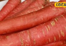 न छीलने का झंझट- ना घिसने की टेंशन… 5 मिनट में तैयार होगा टेस्टी हलवा!