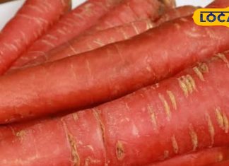 न छीलने का झंझट- ना घिसने की टेंशन… 5 मिनट में तैयार होगा टेस्टी हलवा!