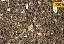 Herbal Tea Benefits in Hindi: चमत्कारी औषधि से भी दोगुनी फायदेमंद है ये चीज…कोलेस्ट्रॉल से लेकर दर्द तक, हर बीमारी का कर देगी झट से इलाज!