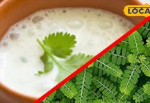 Patients suffering from jaundice can become healthy by adopting this home remedy, know from Ayurveda