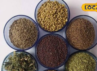 अमृत समान हैं किचन में मौजूद ये मसाले, गैस-कब्ज समेत पेट के हर रोग को कर देते हैं जड़ से खत्म, जानें उपयोग