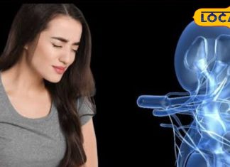 सावधान! सूजन, थकान, कंधे में दर्द हो सकता है किडनी रोग का संकेत, ये तरीका बचाएगा जिंदगी