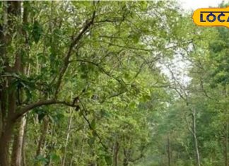 Free Tourism: फेेमिली ट्रिप पर राजस्थान घूमना हुआ आसान, बच्चों और दिव्यंगों को फ्री एंट्री, कम हुआ टिकट का दाम