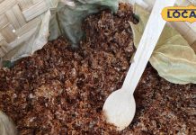 Lal Chiti Ki Chatni: न धनिया-न पुदिना…लाल चींटी से बनती है ये चटनी, स्वाद ऐसा कि उंगली चाटते रह जाएंगे, ताज होटल में भी होती है सर्व