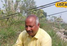 कई औषधीय गुणों से भरपूर है ये साधारण सी घास, कई बीमारियों में आती है काम