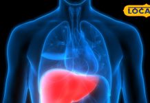 Food Harmful For Liver: शराब से भी ज्यादा खतरनाक है खाने की ये चीजें…लिवर के लिए जहर बराबर! एक्सपर्ट ने किया खुलासा
