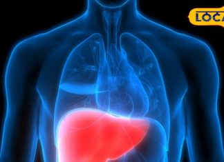 Food Harmful For Liver: शराब से भी ज्यादा खतरनाक है खाने की ये चीजें…लिवर के लिए जहर बराबर! एक्सपर्ट ने किया खुलासा