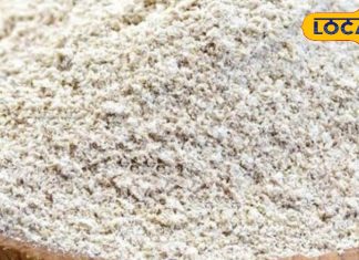 स्वस्थ और ऊर्जा से भरपूर! महाशिवरात्रि व्रत के फलाहार होगा लाजवाब, घर पर ऐसे बनाएं कुट्टू की रोटी