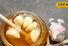 खाली पेट शहद में भिगोए लहसुन खाने के चमत्कारी फायदे, इम्युनिटी बढ़ेगी, वजन भी होगा कम