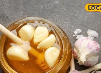 खाली पेट शहद में भिगोए लहसुन खाने के चमत्कारी फायदे, इम्युनिटी बढ़ेगी, वजन भी होगा कम