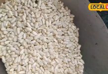 बेहद चमत्कारी हैं ये बीज, दर्द से लेकर घाव तक को फटाफट कर देते हैं ठीक, पेट के लिए भी रामबाण