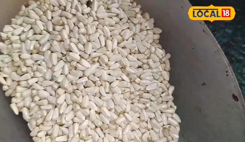 बेहद चमत्कारी हैं ये बीज, दर्द से लेकर घाव तक को फटाफट कर देते हैं ठीक, पेट के लिए भी रामबाण