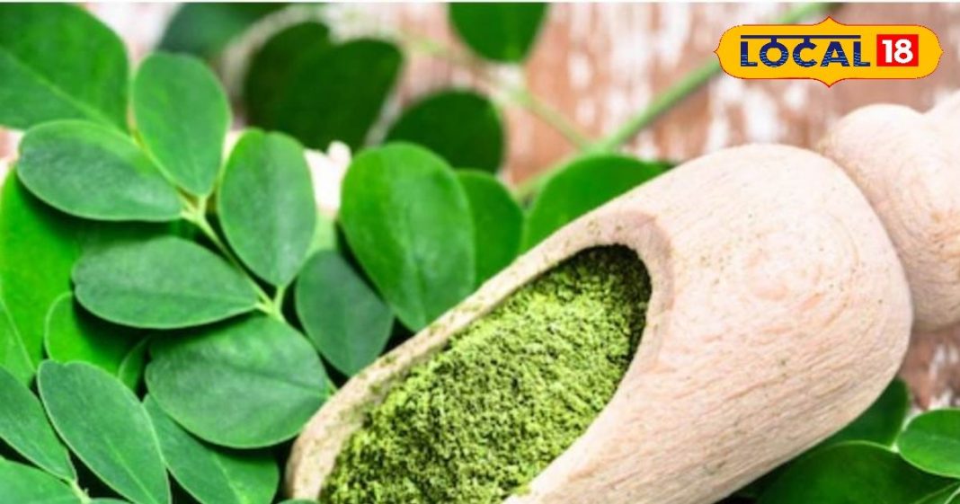 30 दिन में दिखेगा कमाल! इसकी पत्तियों का पानी पीने से होंगे ये चमत्कारी फायदे