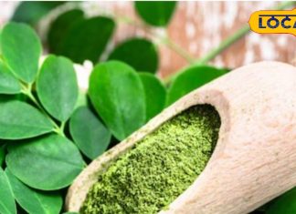 30 दिन में दिखेगा कमाल! इसकी पत्तियों का पानी पीने से होंगे ये चमत्कारी फायदे