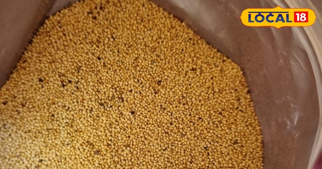 उत्तराखंड के पहाड़ों का अनोखा लड्डू, आंखों की रोशनी और कब्ज के लिए है रामबाण, पाचन तंत्र होता है मजबूत