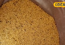 उत्तराखंड के पहाड़ों का अनोखा लड्डू, आंखों की रोशनी और कब्ज के लिए है रामबाण, पाचन तंत्र होता है मजबूत